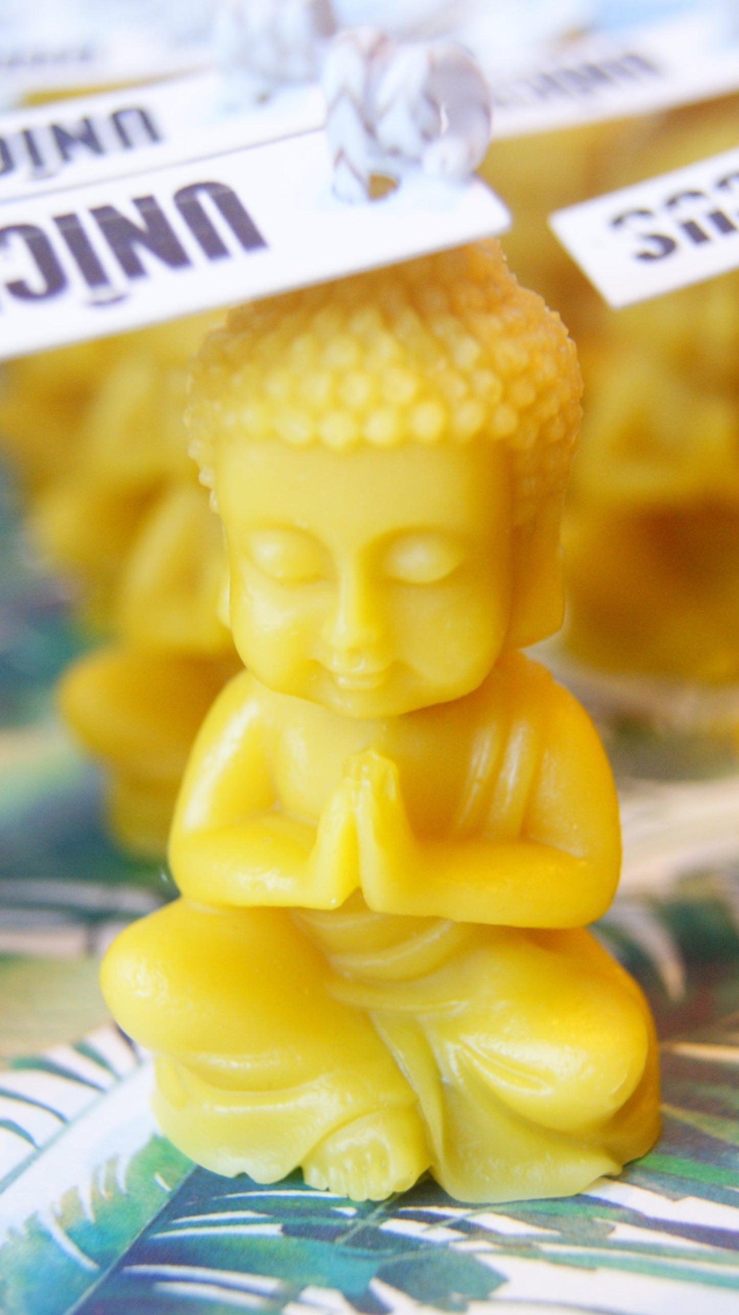 Buda cera de Abeja